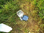 Cache