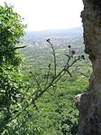 Kilátás 1