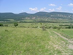 Hazafelé