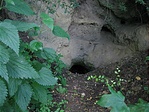 A barlang (csalánnal!!)
