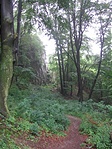 Oldalról