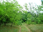 Bekötő út