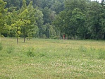 tónál
