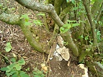 rejtek