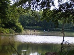 horgásztó
