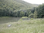 Tó