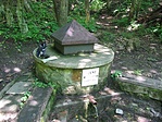A forrás