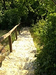 Útban a geológiai lelet fele