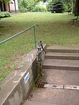 Forrás