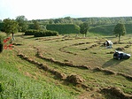 Sátrazók