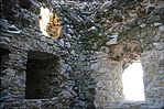 Toronyban
