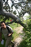 Turistautak trekkelő