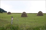 Csendélet