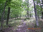Út a gerincen