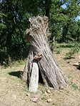 A majdani tető