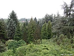 A park a kilátóból