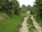 Nyúl a távolban
