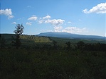 Kékes