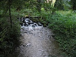 Patak