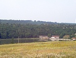 Tó