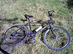 A járgányom