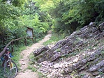 Rétegek