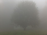 Kékestető, 2005. 08. 17.