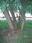 A rejtek