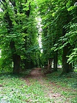 Visszaúton.