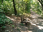 befordulni