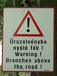 veszélyes hely Fehérvár:)