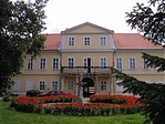 Az elmegyógyintézet