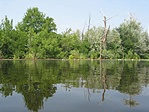 Szimmetria