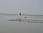 Reptében