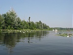 Színek
