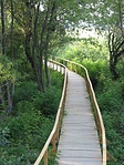 A tanösvény