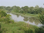 Toronyból