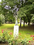 Csodaszavas modernül
