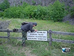 Valami renitens...