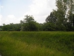 Zöld felüdülés