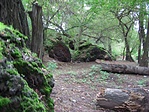 Látnivalók