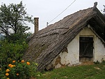 Tető