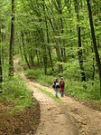 Vándorlás