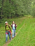 Fárasztó