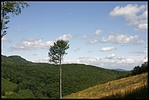 felfelé