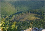 tonzura
