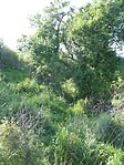 rejtek