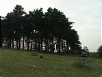 Drive in ládika
