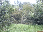 vár  