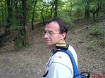 vér